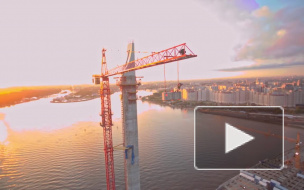 Появилось видео крутого прыжка бейсджамперов с самого высокого крана Петербурга