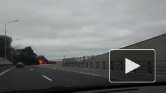 В Петербурге на северной дамбе огонь "поедает" автомобиль