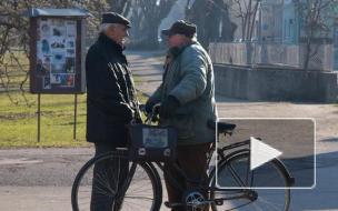 Эксперт рассказал, кому в 2021 году назначат пенсию раньше срока