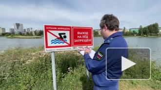 Петербургская прокуратура проверяет зоны для купания после случаев гибели на водных объектах