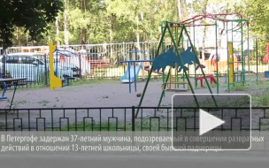 Петергофский педофил в соцсетях совращал юную падчерицу
