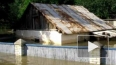 В наводнении на Кубани погибла петербурженка Мария ...