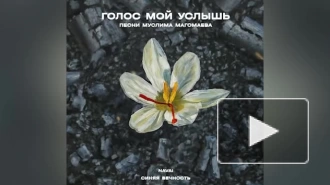 Российские артисты записали альбом для помощи пострадавшим при теракте в "Крокусе"