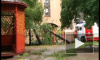 В Петроградском районе дерево упало на детский сад