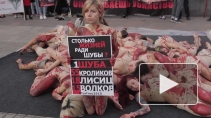 Петербургские защитники животных "освежевали" десятки людей