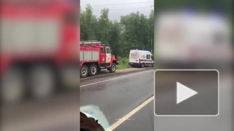 Три человека погибли в ДТП с возгоранием в Московской области