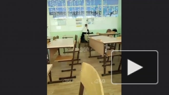 Школьница из Хабаровского края сняла на видео избиение своего одноклассника