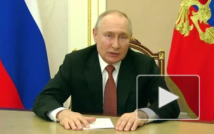 Путин отметил интерес новых регионов России к сотрудничеству с Белоруссией