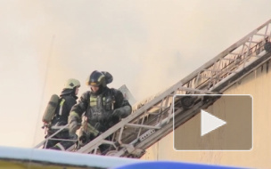 Пятеро петербуржцев чуть не сгорели в пожаре на Каменоостровском