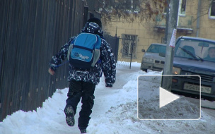 Петербургских детей слишком часто и безнаказанно грабят