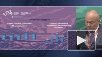 МВД за семь месяцев 2024 года зарегистрировало 677 тысяч IT-преступлений