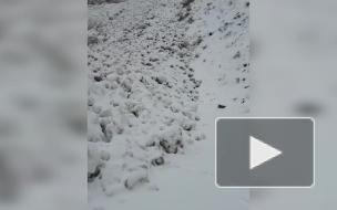 В Дагестане сошла снежная лавина