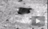 Опубликовано видео с гигантскими улитками на поверхности Марса