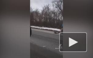 В ДТП под Рязанью погибли три человека