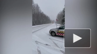 На борьбу с весенним снегопадом в Ленобласти выезжали 596 дорожников на 357 спецмашинах