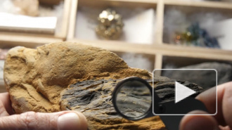 Свитки Мертвого моря из вашингтонского музея оказались подделкой