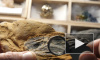 Свитки Мертвого моря из вашингтонского музея оказались подделкой