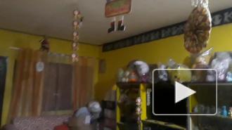 На Филиппинах зафиксировали землетрясение магнитудой 7