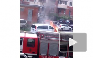 В Ладожском парке загорелся автомобиль 