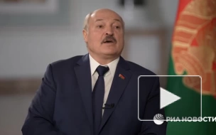 Лукашенко допустил проведение досрочных президентских выборов в Белоруссии