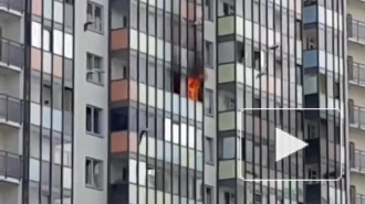 В Мурино от залетевшего в окно окурка загорелась квартира