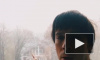 Мгла: Максим Галкин выложил в Instagram хоррор-видео про туманное утро
