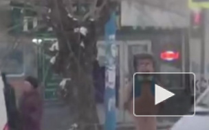 Доброе видео из Пензы: "Ёж - тимуровец" переводил бабушек через дорогу