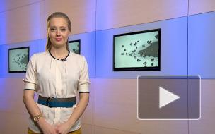 Более трех миллионов человек заболели коронавирусом в России