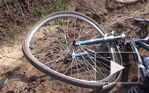 В Петербурге велосипедист попал под поезд и остался жив