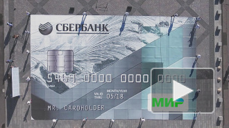 В Петербурге собрали самую большую в России платежную карту
