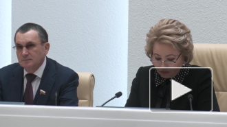 В СФ утвердили решения регионов о поддержке поправок в Конституцию