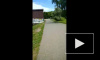 Видео: по Муринскому парку гуляет голая женщина