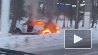 В Курортном районе такси с пассажирами врезалось в дерево и загорелось
