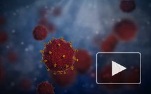 Обнаружена высокая выживаемость коронавируса осенью