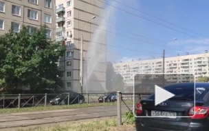 Во Фрунзенском районе засняли фонтан с горячей водой