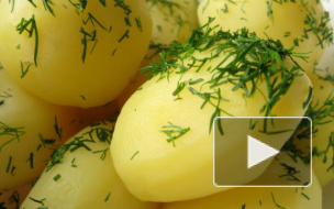 Никита Михалков и Андрей Кончаловский предложили сместить "Макдональдс" с рынка и создать свою сеть питания