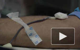 Политики поделились кровью с петербуржцами