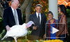 Видео: Обама «помиловал» индейку Гобблера ради Дня благодарения