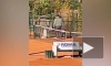Жестокое избиение теннисистки собственным отцом в Сербии попало на видео