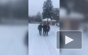 Еще два человека задержаны по подозрению в убийстве семьи под Нижним Новгородом