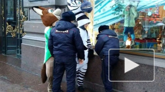 Почти две тысячи петербуржцев подписали петицию против аниматоров-вымогателей