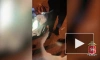В Татарстане задержан наркокурьер, который вёз из Подмосковья около 900 г "синтетики"