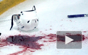 Студенту, убившему хоккеиста, грозит 9 лет строгого режима