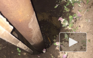 В Хабаровском крае пропавшего 2-летнего малыша нашли мертвым в яме с водой