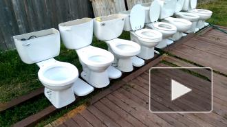 Власти российского региона объяснили унитазы без перегородок в школе