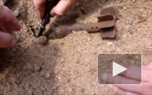 73 взрывоопасные мины угрожали петербуржцам более 70 лет