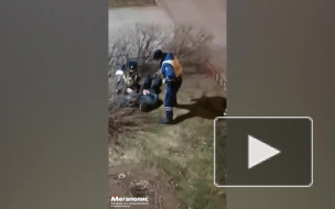 У "Пионерской" задержали двух кавказцев, выбросивших в урну пистолет