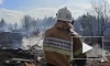 В СНТ в Свердловской области загорелись восемь домов
