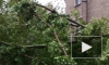 Ураган в Москве: Есть погибшие и пострадавшие среди людей, сотни поваленных деревьев, десятки поврежденных автомобилей