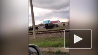 Рядом с украинскими границами в Приднестровье заметили передвижение российских войск
